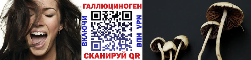 Псилоцибиновые грибы GOLDEN TEACHER  Купить закладки  Билибино 